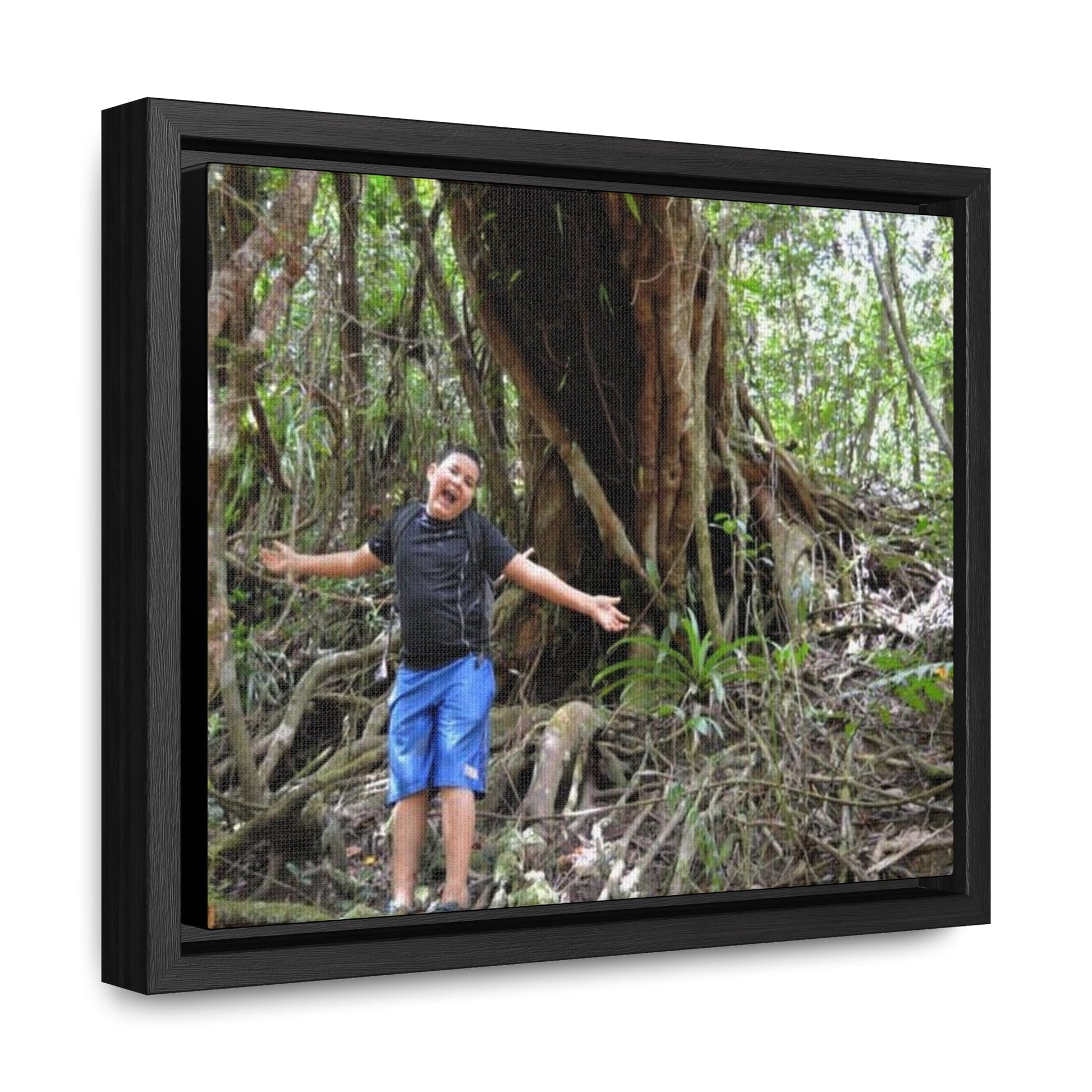 Rainforest Trails & Views - Gallery Canvas Wraps, Horizontal Frame - El Yunque National Forest - Puerto Rico - Jose next to Holy Spirit river huge Red Tree - Green Forest Home