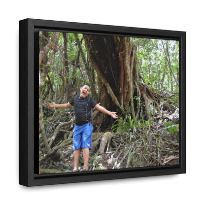 Rainforest Trails & Views - Gallery Canvas Wraps, Horizontal Frame - El Yunque National Forest - Puerto Rico - Jose next to Holy Spirit river huge Red Tree - Green Forest Home