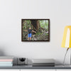 Rainforest Trails & Views - Gallery Canvas Wraps, Horizontal Frame - El Yunque National Forest - Puerto Rico - Jose next to Holy Spirit river huge Red Tree - Green Forest Home