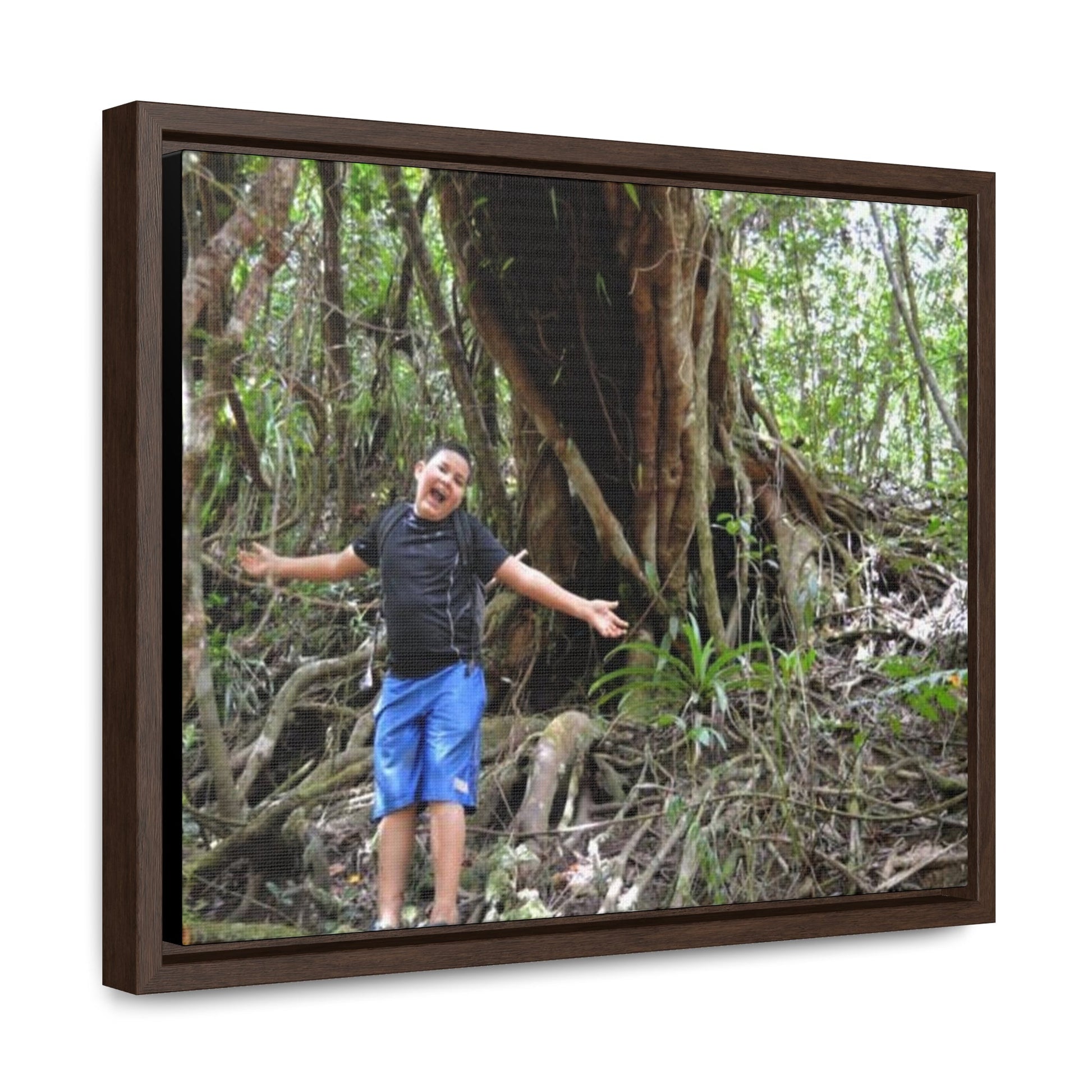 Rainforest Trails & Views - Gallery Canvas Wraps, Horizontal Frame - El Yunque National Forest - Puerto Rico - Jose next to Holy Spirit river huge Red Tree - Green Forest Home