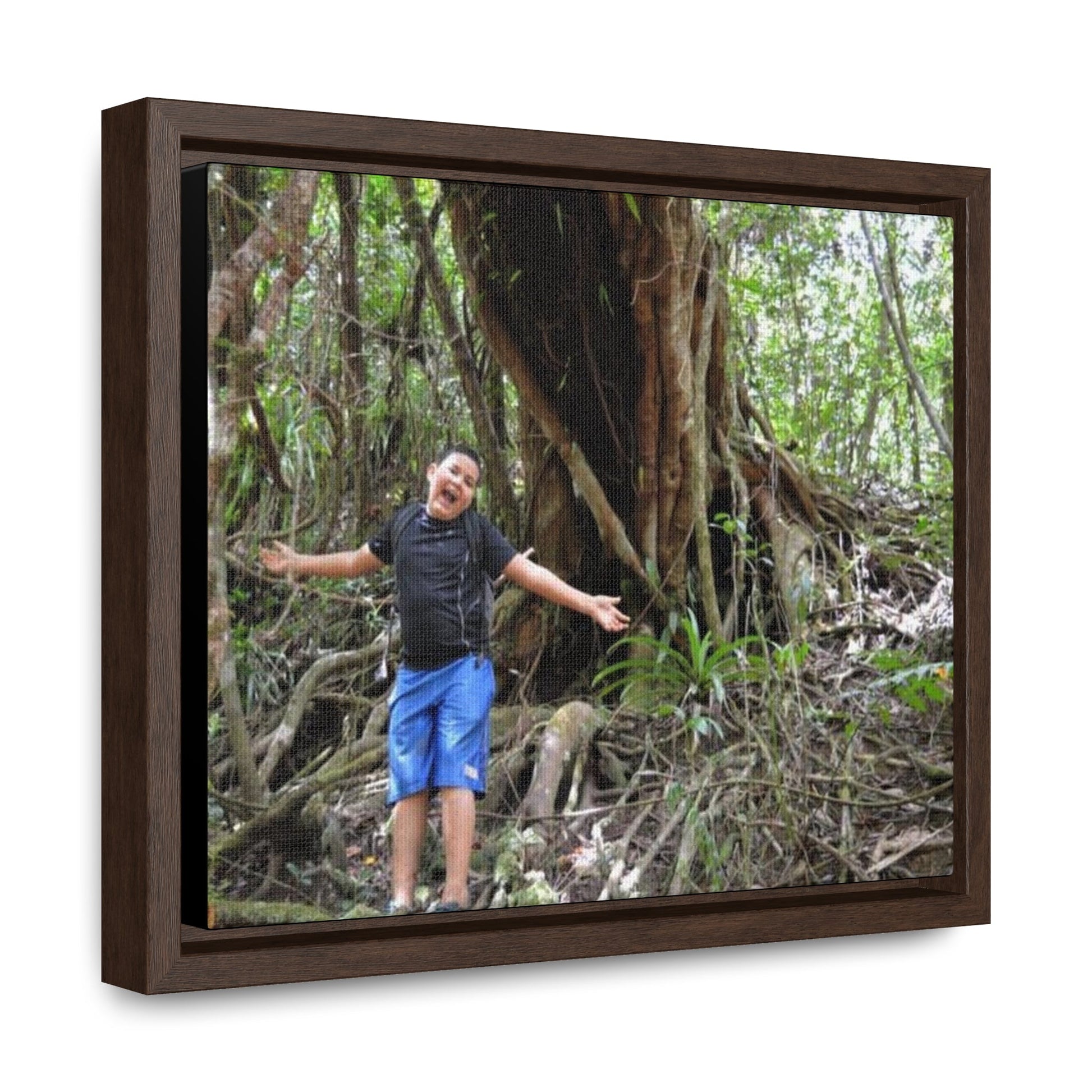 Rainforest Trails & Views - Gallery Canvas Wraps, Horizontal Frame - El Yunque National Forest - Puerto Rico - Jose next to Holy Spirit river huge Red Tree - Green Forest Home