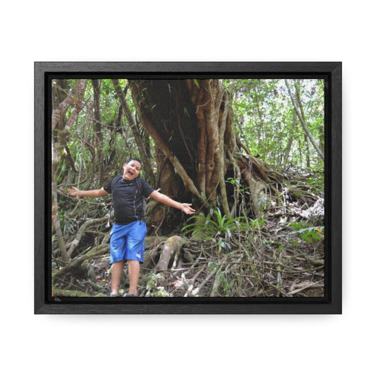 Rainforest Trails & Views - Gallery Canvas Wraps, Horizontal Frame - El Yunque National Forest - Puerto Rico - Jose next to Holy Spirit river huge Red Tree - Green Forest Home