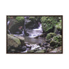 Rainforest Trails & Views - Gallery Canvas Wraps, Horizontal Frame - El Yunque National Forest - Puerto Rico - Juan Diego Trail & River - Green Forest Home