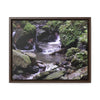 Rainforest Trails & Views - Gallery Canvas Wraps, Horizontal Frame - El Yunque National Forest - Puerto Rico - Juan Diego Trail & River - Green Forest Home