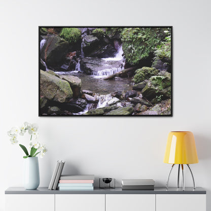 Rainforest Trails & Views - Gallery Canvas Wraps, Horizontal Frame - El Yunque National Forest - Puerto Rico - Juan Diego Trail & River - Green Forest Home
