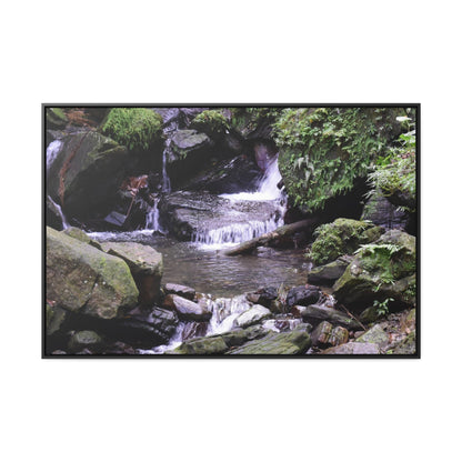 Rainforest Trails & Views - Gallery Canvas Wraps, Horizontal Frame - El Yunque National Forest - Puerto Rico - Juan Diego Trail & River - Green Forest Home