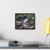 Rainforest Trails & Views - Gallery Canvas Wraps, Horizontal Frame - El Yunque National Forest - Puerto Rico - Juan Diego Trail & River - Green Forest Home