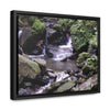 Rainforest Trails & Views - Gallery Canvas Wraps, Horizontal Frame - El Yunque National Forest - Puerto Rico - Juan Diego Trail & River - Green Forest Home