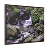 Rainforest Trails & Views - Gallery Canvas Wraps, Horizontal Frame - El Yunque National Forest - Puerto Rico - Juan Diego Trail & River - Green Forest Home