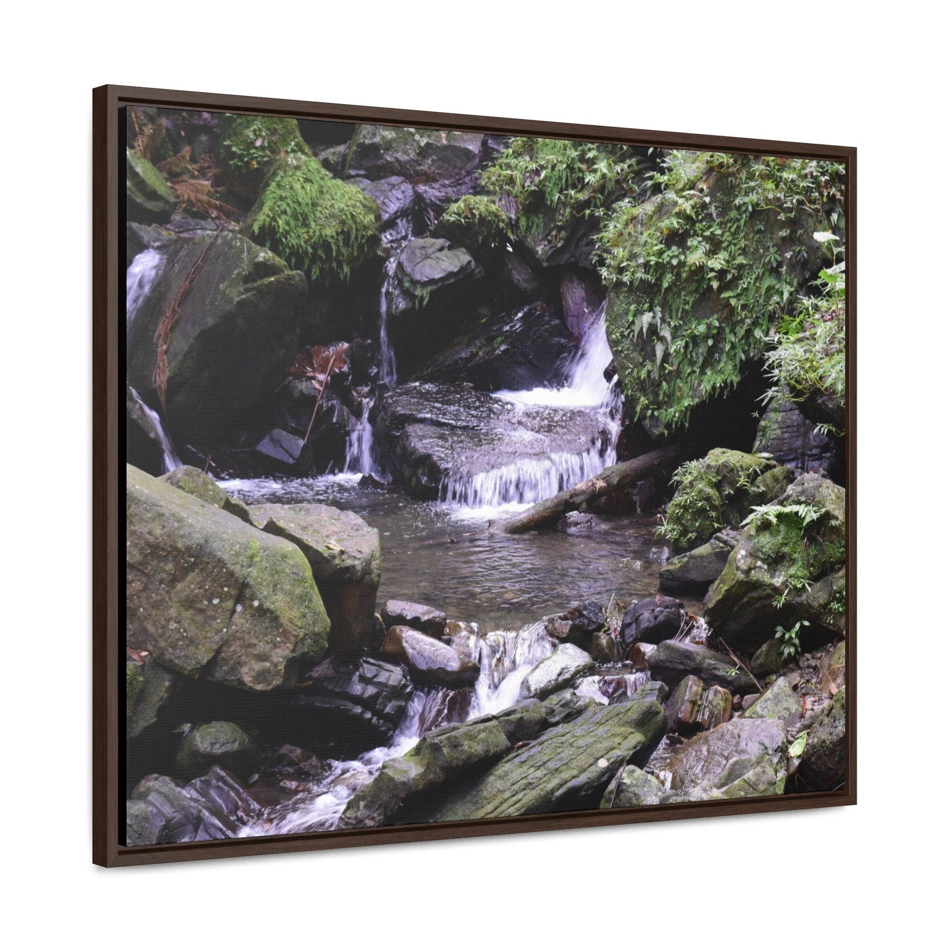 Rainforest Trails & Views - Gallery Canvas Wraps, Horizontal Frame - El Yunque National Forest - Puerto Rico - Juan Diego Trail & River - Green Forest Home