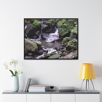 Rainforest Trails & Views - Gallery Canvas Wraps, Horizontal Frame - El Yunque National Forest - Puerto Rico - Juan Diego Trail & River - Green Forest Home