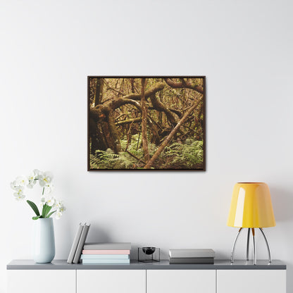 Rainforest Trails & Views - Gallery Canvas Wraps, Horizontal Frame - El Yunque National Forest - Puerto Rico - Jumble forest after Hurricane Maria - Rio Sabana - Green Forest Home
