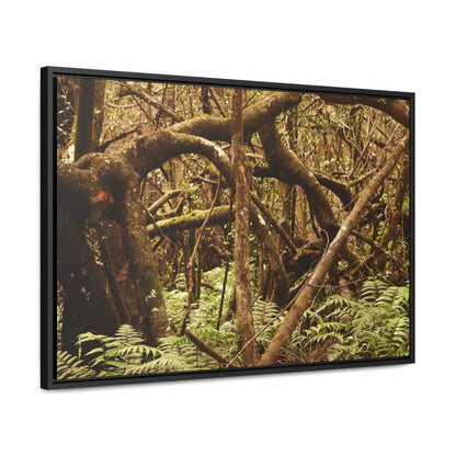 Rainforest Trails & Views - Gallery Canvas Wraps, Horizontal Frame - El Yunque National Forest - Puerto Rico - Jumble forest after Hurricane Maria - Rio Sabana - Green Forest Home