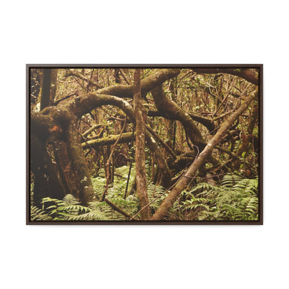 Rainforest Trails & Views - Gallery Canvas Wraps, Horizontal Frame - El Yunque National Forest - Puerto Rico - Jumble forest after Hurricane Maria - Rio Sabana - Green Forest Home