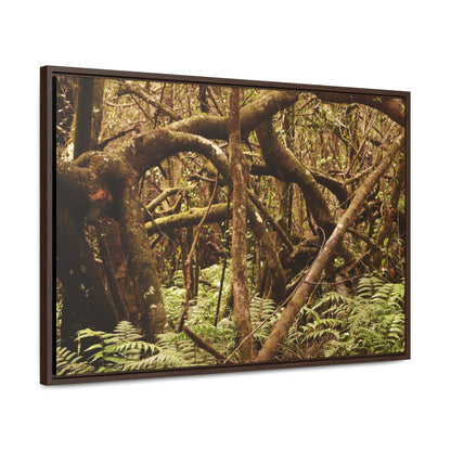 Rainforest Trails & Views - Gallery Canvas Wraps, Horizontal Frame - El Yunque National Forest - Puerto Rico - Jumble forest after Hurricane Maria - Rio Sabana - Green Forest Home