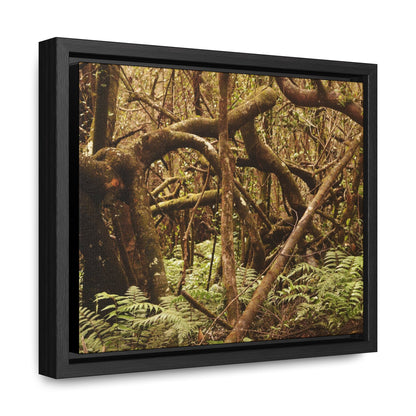 Rainforest Trails & Views - Gallery Canvas Wraps, Horizontal Frame - El Yunque National Forest - Puerto Rico - Jumble forest after Hurricane Maria - Rio Sabana - Green Forest Home