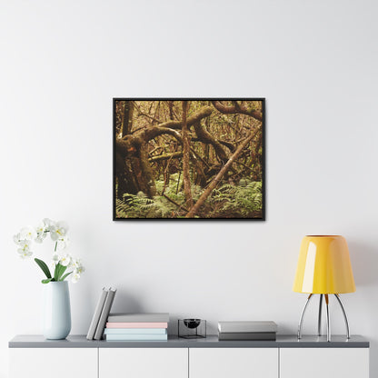 Rainforest Trails & Views - Gallery Canvas Wraps, Horizontal Frame - El Yunque National Forest - Puerto Rico - Jumble forest after Hurricane Maria - Rio Sabana - Green Forest Home