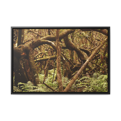 Rainforest Trails & Views - Gallery Canvas Wraps, Horizontal Frame - El Yunque National Forest - Puerto Rico - Jumble forest after Hurricane Maria - Rio Sabana - Green Forest Home