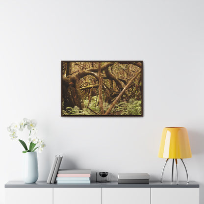 Rainforest Trails & Views - Gallery Canvas Wraps, Horizontal Frame - El Yunque National Forest - Puerto Rico - Jumble forest after Hurricane Maria - Rio Sabana - Green Forest Home