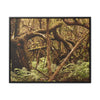 Rainforest Trails & Views - Gallery Canvas Wraps, Horizontal Frame - El Yunque National Forest - Puerto Rico - Jumble forest after Hurricane Maria - Rio Sabana - Green Forest Home