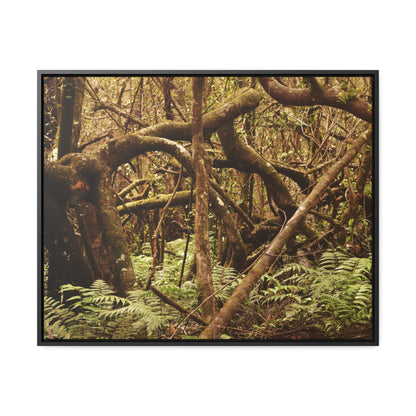 Rainforest Trails & Views - Gallery Canvas Wraps, Horizontal Frame - El Yunque National Forest - Puerto Rico - Jumble forest after Hurricane Maria - Rio Sabana - Green Forest Home