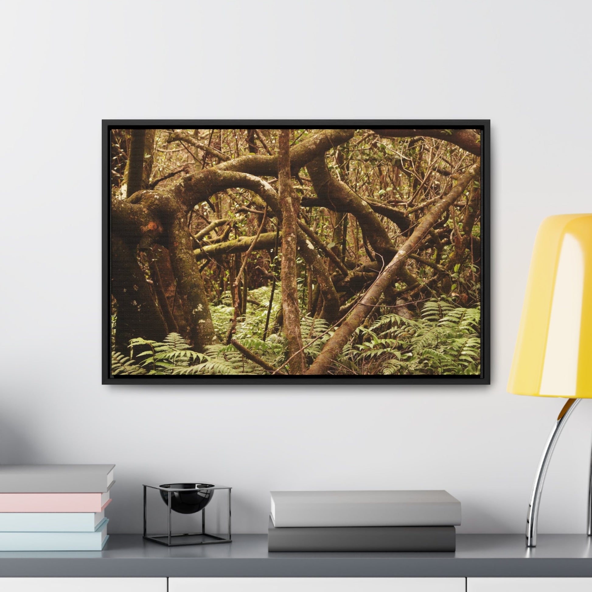 Rainforest Trails & Views - Gallery Canvas Wraps, Horizontal Frame - El Yunque National Forest - Puerto Rico - Jumble forest after Hurricane Maria - Rio Sabana - Green Forest Home