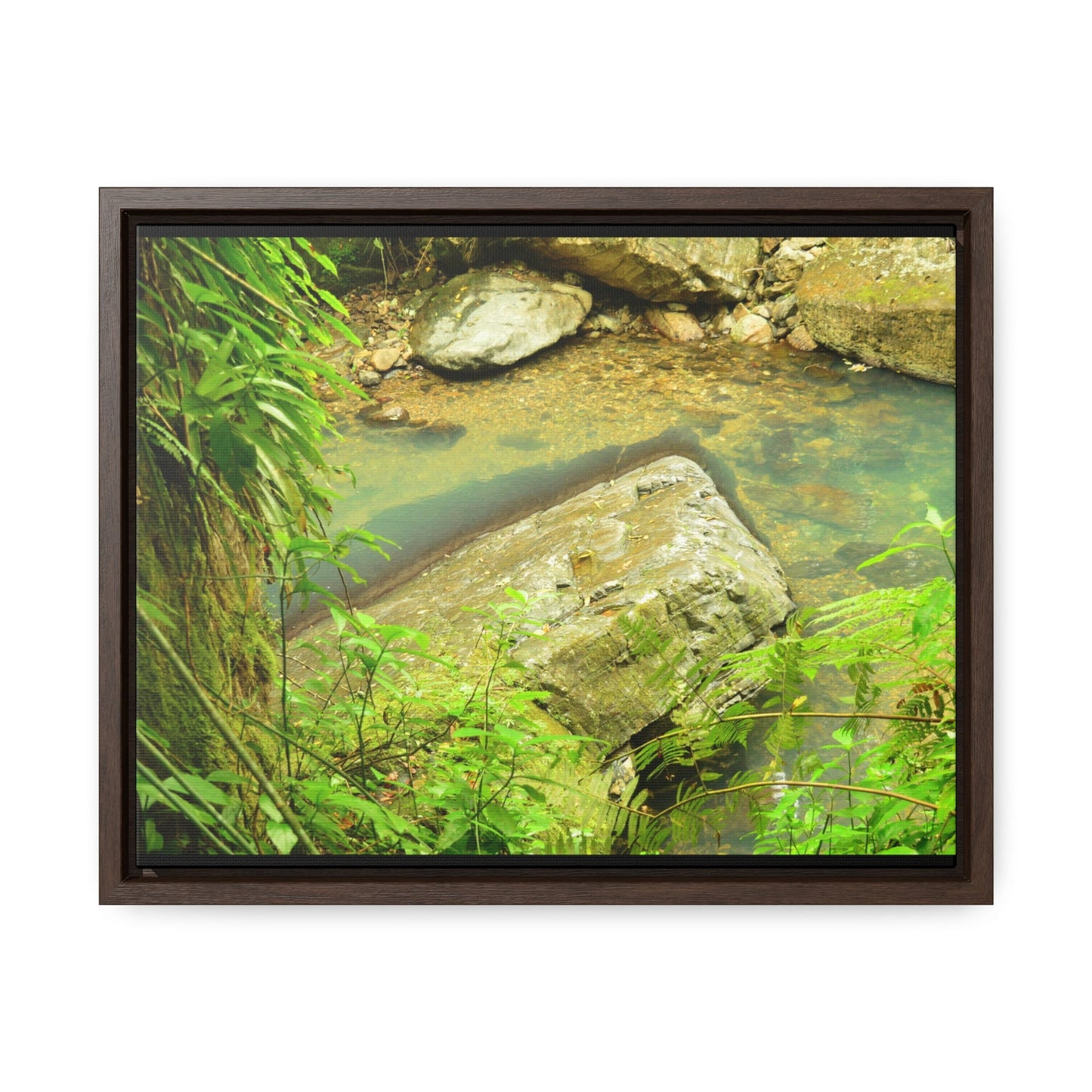 Rainforest Trails & Views - Gallery Canvas Wraps, Horizontal Frame - El Yunque National Forest - Puerto Rico - La Mina River & Trail - huge boulder - Green Forest Home