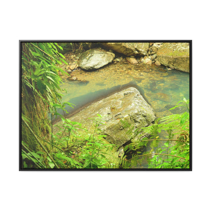 Rainforest Trails & Views - Gallery Canvas Wraps, Horizontal Frame - El Yunque National Forest - Puerto Rico - La Mina River & Trail - huge boulder - Green Forest Home