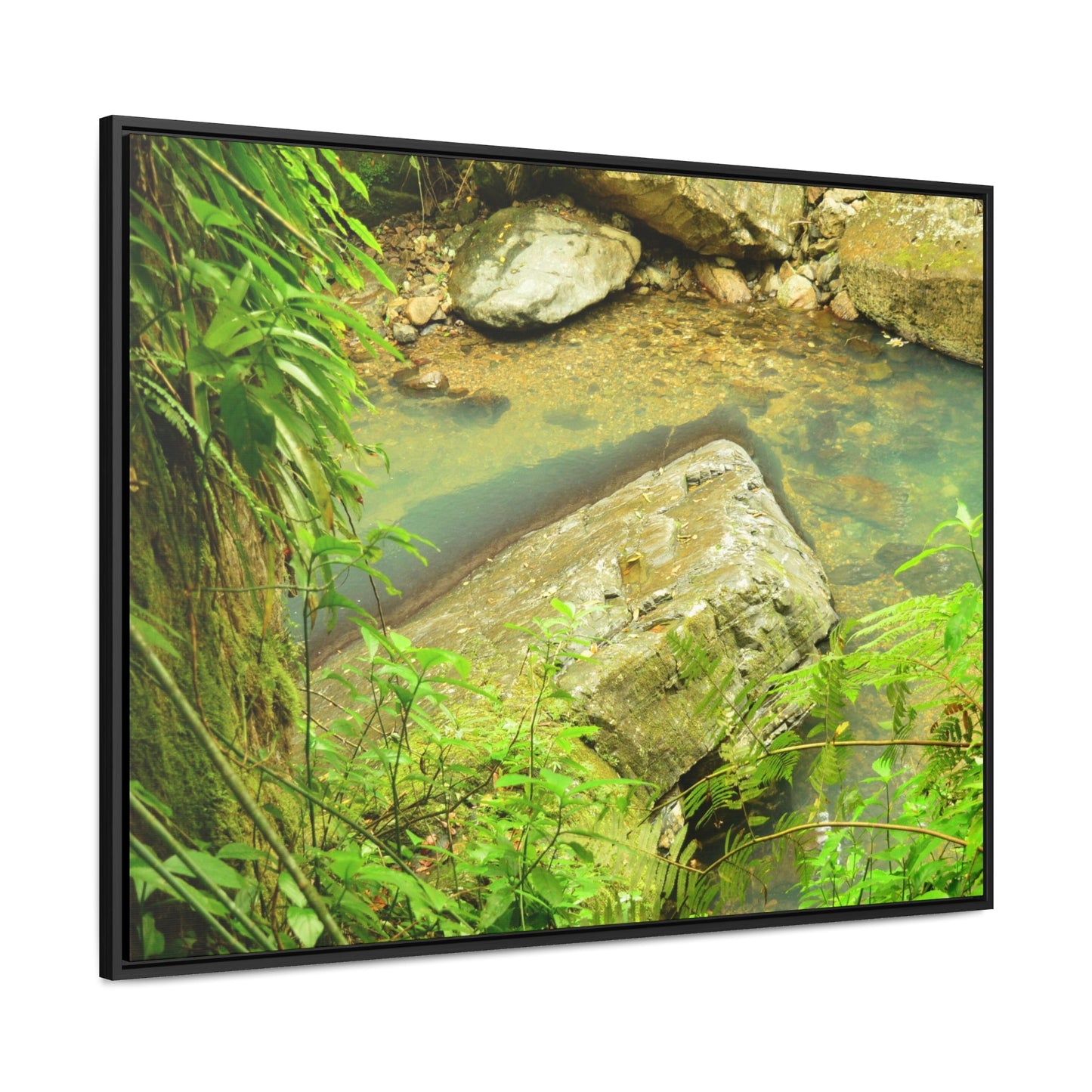 Rainforest Trails & Views - Gallery Canvas Wraps, Horizontal Frame - El Yunque National Forest - Puerto Rico - La Mina River & Trail - huge boulder - Green Forest Home
