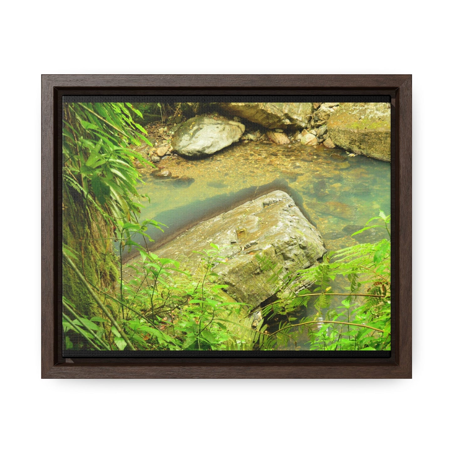 Rainforest Trails & Views - Gallery Canvas Wraps, Horizontal Frame - El Yunque National Forest - Puerto Rico - La Mina River & Trail - huge boulder - Green Forest Home