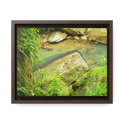 Rainforest Trails & Views - Gallery Canvas Wraps, Horizontal Frame - El Yunque National Forest - Puerto Rico - La Mina River & Trail - huge boulder - Green Forest Home