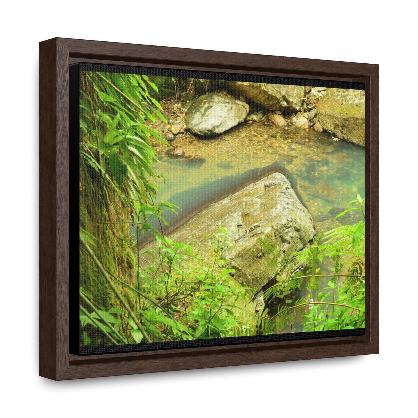 Rainforest Trails & Views - Gallery Canvas Wraps, Horizontal Frame - El Yunque National Forest - Puerto Rico - La Mina River & Trail - huge boulder - Green Forest Home
