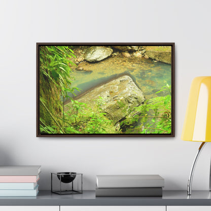 Rainforest Trails & Views - Gallery Canvas Wraps, Horizontal Frame - El Yunque National Forest - Puerto Rico - La Mina River & Trail - huge boulder - Green Forest Home