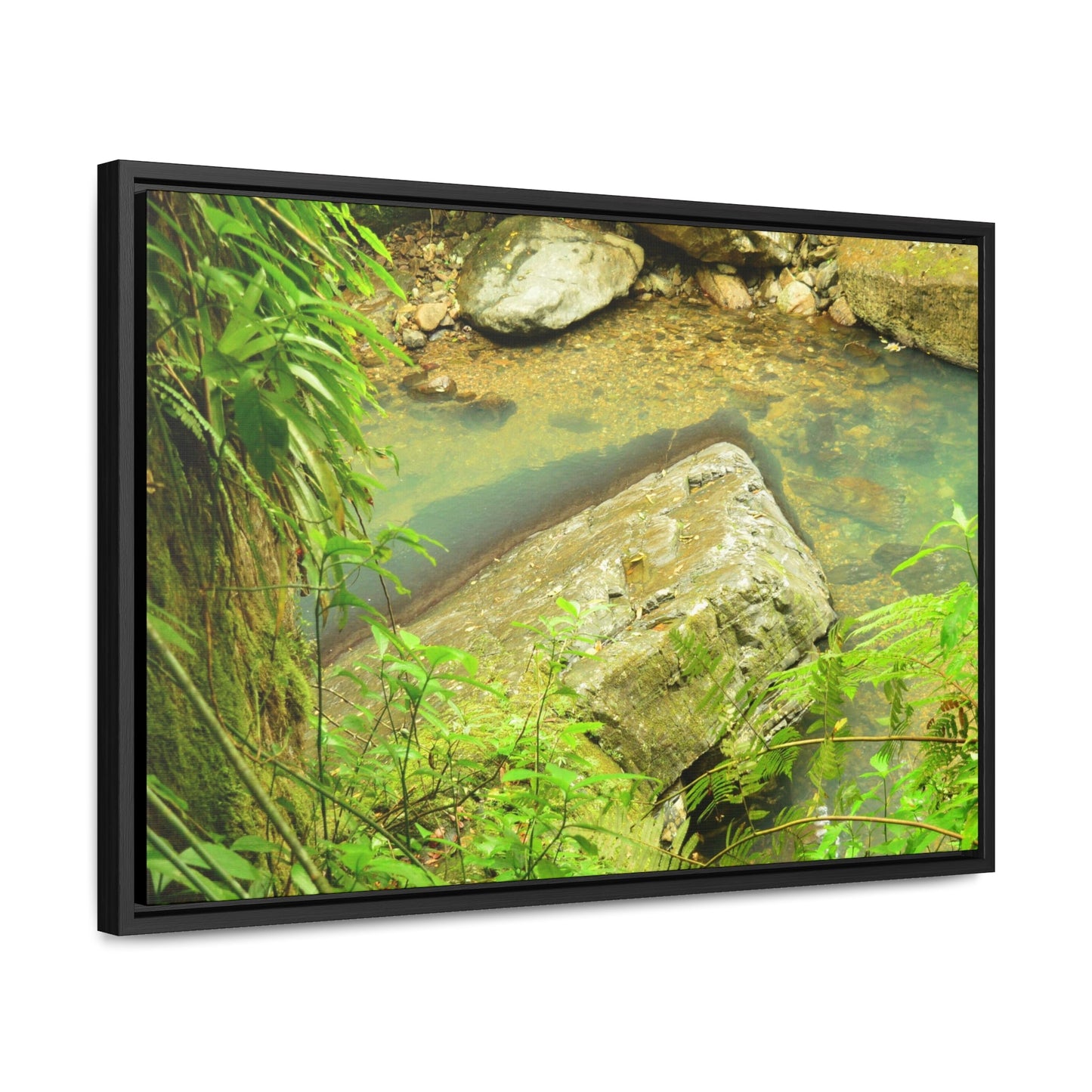 Rainforest Trails & Views - Gallery Canvas Wraps, Horizontal Frame - El Yunque National Forest - Puerto Rico - La Mina River & Trail - huge boulder - Green Forest Home