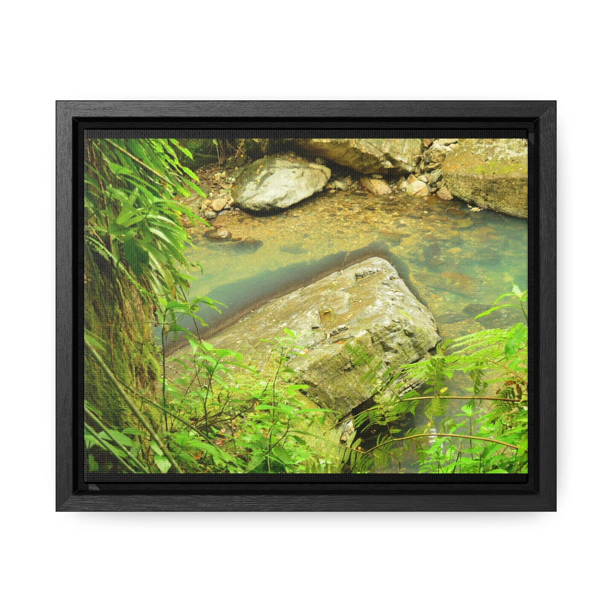 Rainforest Trails & Views - Gallery Canvas Wraps, Horizontal Frame - El Yunque National Forest - Puerto Rico - La Mina River & Trail - huge boulder - Green Forest Home