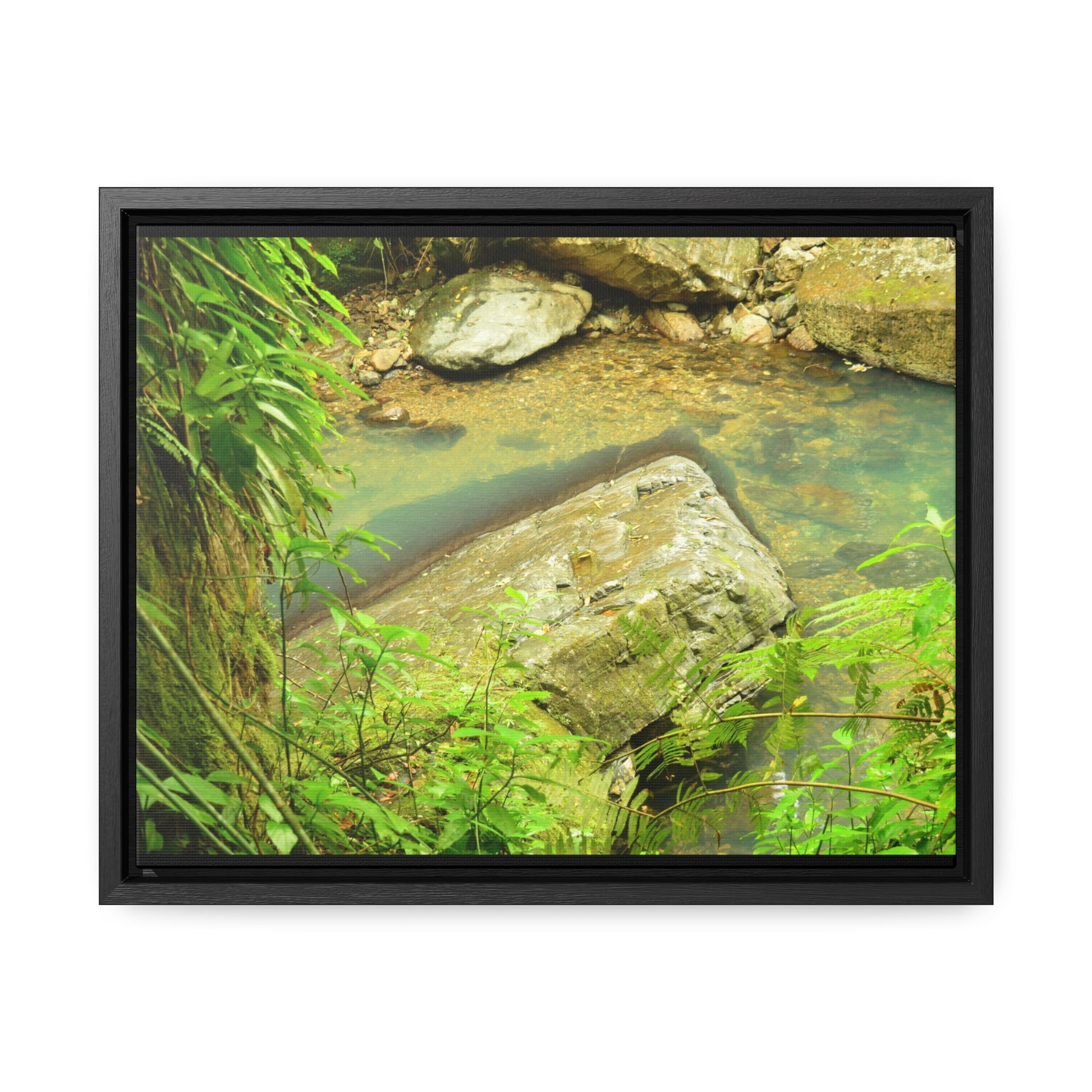 Rainforest Trails & Views - Gallery Canvas Wraps, Horizontal Frame - El Yunque National Forest - Puerto Rico - La Mina River & Trail - huge boulder - Green Forest Home