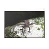 Rainforest Trails & Views - Gallery Canvas Wraps, Horizontal Frame - El Yunque National Forest - Puerto Rico - Lizard in readyness - Green Forest Home