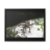 Rainforest Trails & Views - Gallery Canvas Wraps, Horizontal Frame - El Yunque National Forest - Puerto Rico - Lizard in readyness - Green Forest Home