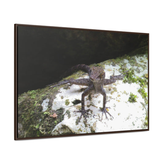 Rainforest Trails & Views - Gallery Canvas Wraps, Horizontal Frame - El Yunque National Forest - Puerto Rico - Lizard in readyness - Green Forest Home