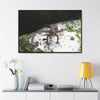 Rainforest Trails & Views - Gallery Canvas Wraps, Horizontal Frame - El Yunque National Forest - Puerto Rico - Lizard in readyness - Green Forest Home