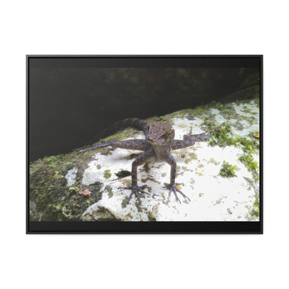 Rainforest Trails & Views - Gallery Canvas Wraps, Horizontal Frame - El Yunque National Forest - Puerto Rico - Lizard in readyness - Green Forest Home