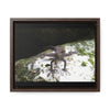 Rainforest Trails & Views - Gallery Canvas Wraps, Horizontal Frame - El Yunque National Forest - Puerto Rico - Lizard in readyness - Green Forest Home