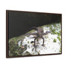 Rainforest Trails & Views - Gallery Canvas Wraps, Horizontal Frame - El Yunque National Forest - Puerto Rico - Lizard in readyness - Green Forest Home