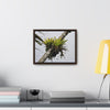 Rainforest Trails & Views - Gallery Canvas Wraps, Horizontal Frame - El Yunque National Forest - Puerto Rico - Lone Sierra Palm survives Hurricane Maria 2017 winds of 140MPH - Green Forest Home