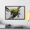 Rainforest Trails & Views - Gallery Canvas Wraps, Horizontal Frame - El Yunque National Forest - Puerto Rico - Lone Sierra Palm survives Hurricane Maria 2017 winds of 140MPH - Green Forest Home