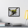 Rainforest Trails & Views - Gallery Canvas Wraps, Horizontal Frame - El Yunque National Forest - Puerto Rico - Lone Sierra Palm survives Hurricane Maria 2017 winds of 140MPH - Green Forest Home