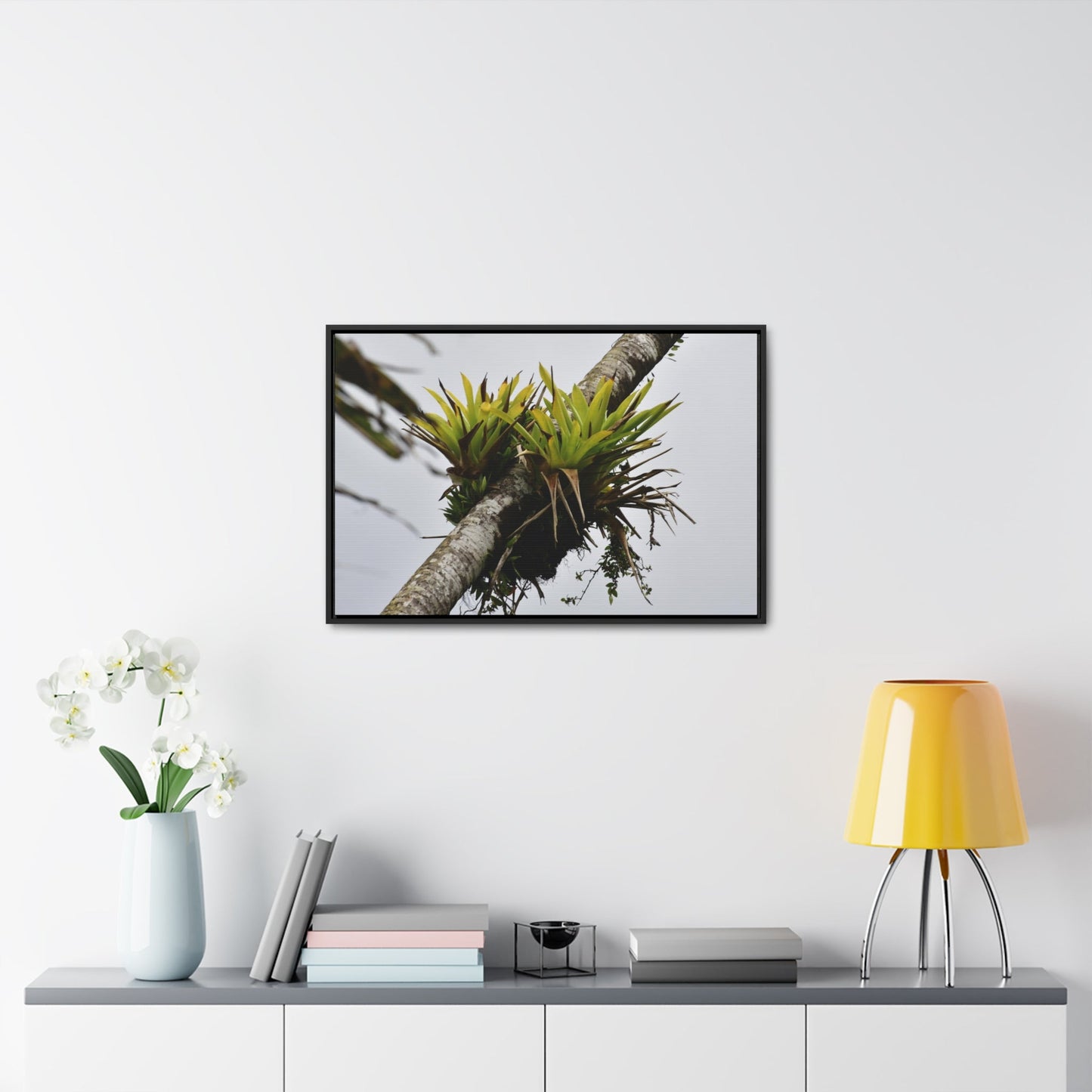 Rainforest Trails & Views - Gallery Canvas Wraps, Horizontal Frame - El Yunque National Forest - Puerto Rico - Lone Sierra Palm survives Hurricane Maria 2017 winds of 140MPH - Green Forest Home