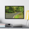 Rainforest Trails & Views - Gallery Canvas Wraps, Horizontal Frame - El Yunque National Forest - Puerto Rico - Lovely swings of the main road PR 191 near the top - Green Forest Home