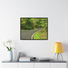 Rainforest Trails & Views - Gallery Canvas Wraps, Horizontal Frame - El Yunque National Forest - Puerto Rico - Lovely swings of the main road PR 191 near the top - Green Forest Home