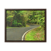 Rainforest Trails & Views - Gallery Canvas Wraps, Horizontal Frame - El Yunque National Forest - Puerto Rico - Lovely swings of the main road PR 191 near the top - Green Forest Home